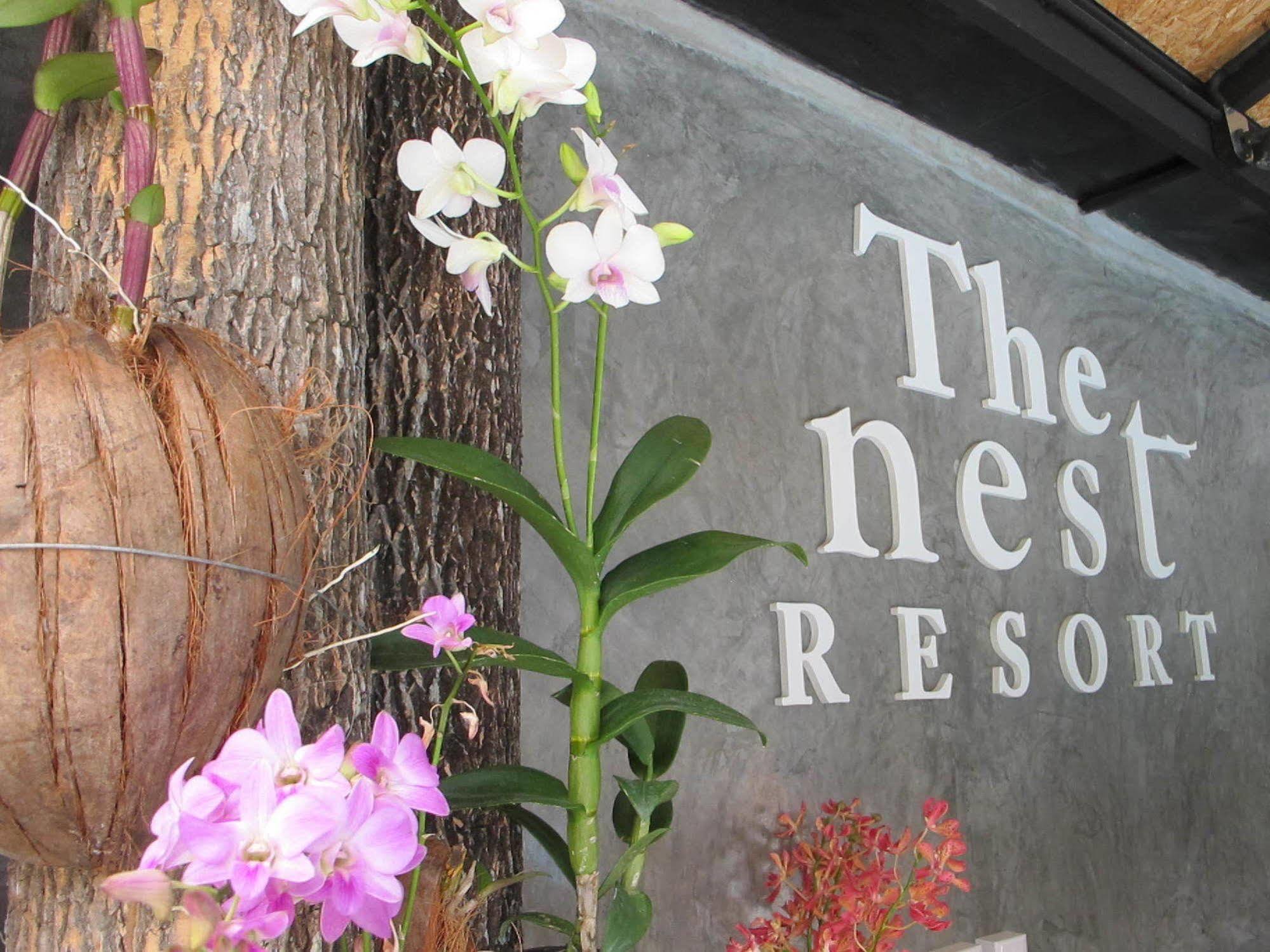 The Nest Resort Patong Bagian luar foto
